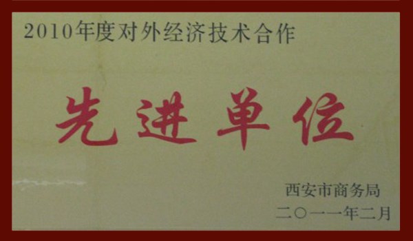 對(duì)外經(jīng)濟(jì)技術(shù)合作先進(jìn)單位